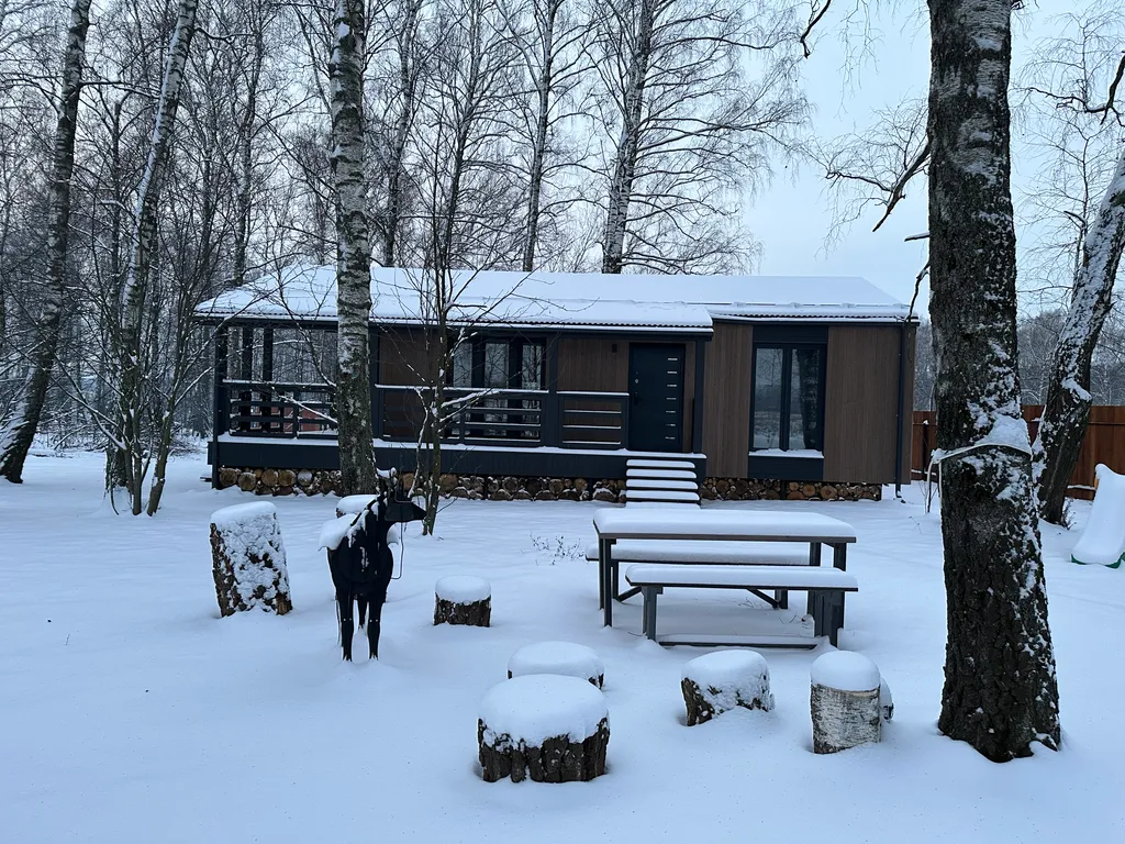 Стильный дом с панорамными окнами