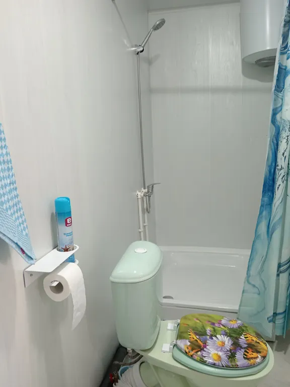 Уютная студия на мансарде