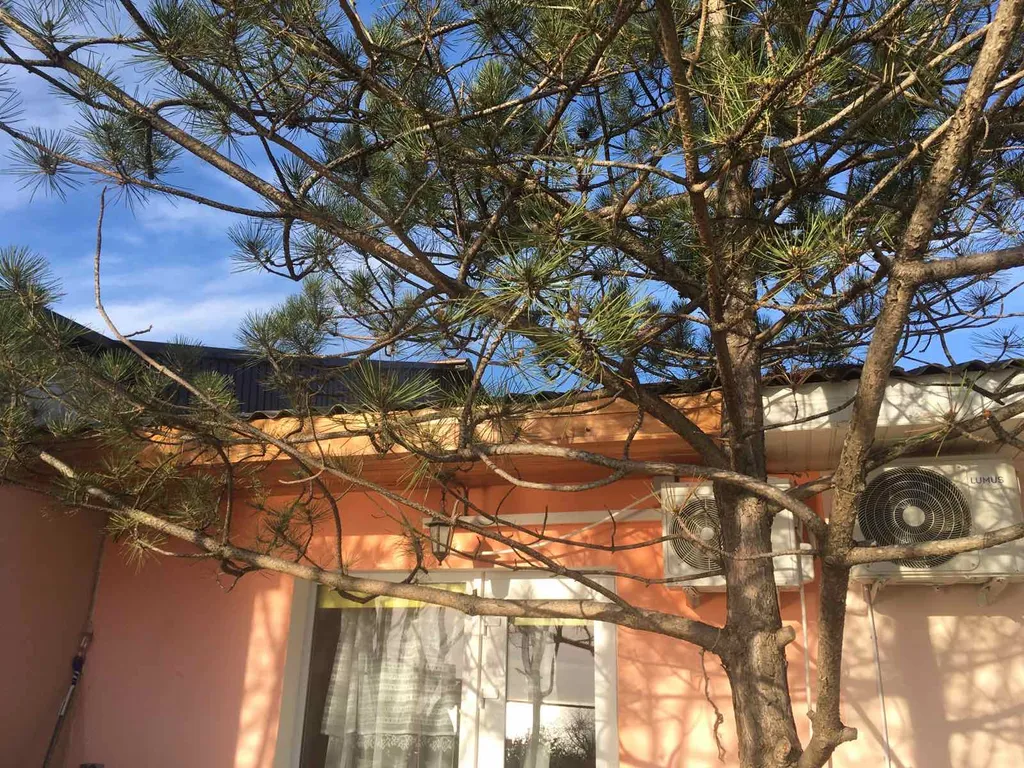 Квартира Апартаменты Costa Diva — Севастополь