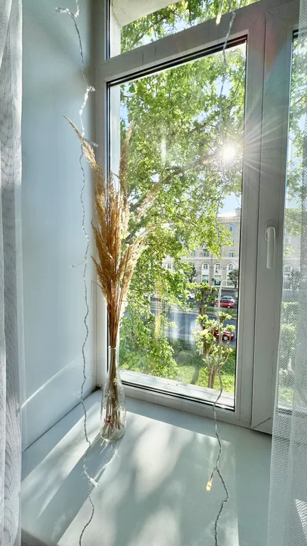 Уютная студия на одной из центральных улиц, ведущих к Кремлю