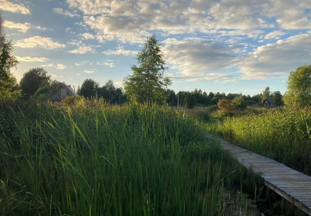 Уютный дом на берегу реки