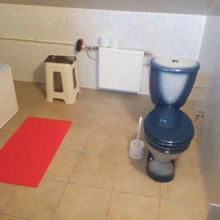 Комната отдельная в коттедже, интернет и связь всегда