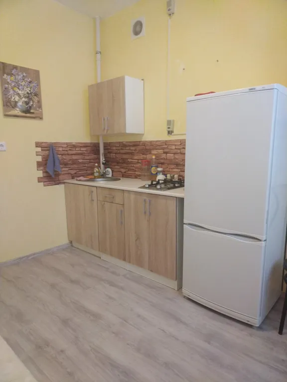 1-комнатная квартира в новостройке