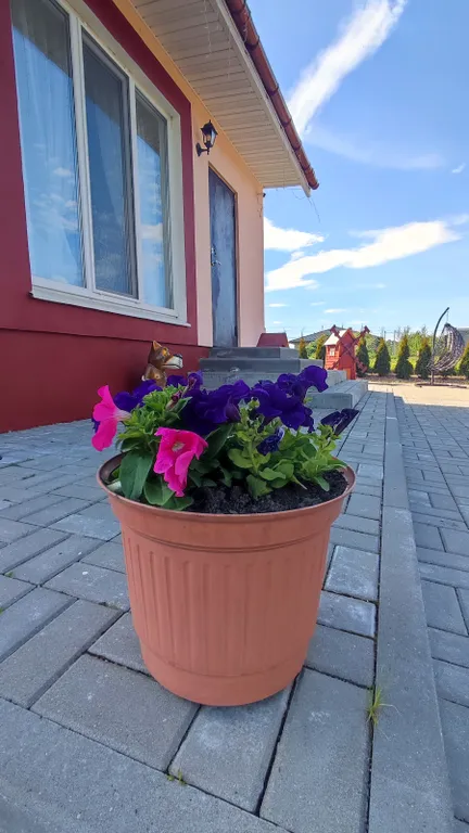 Агроусадьба с баней, на реке Птичь под Минском, с прудом