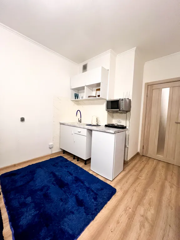 Уютная студия в Девяткино