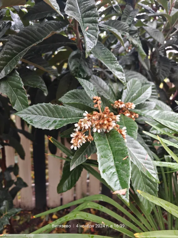 Дом из бруса