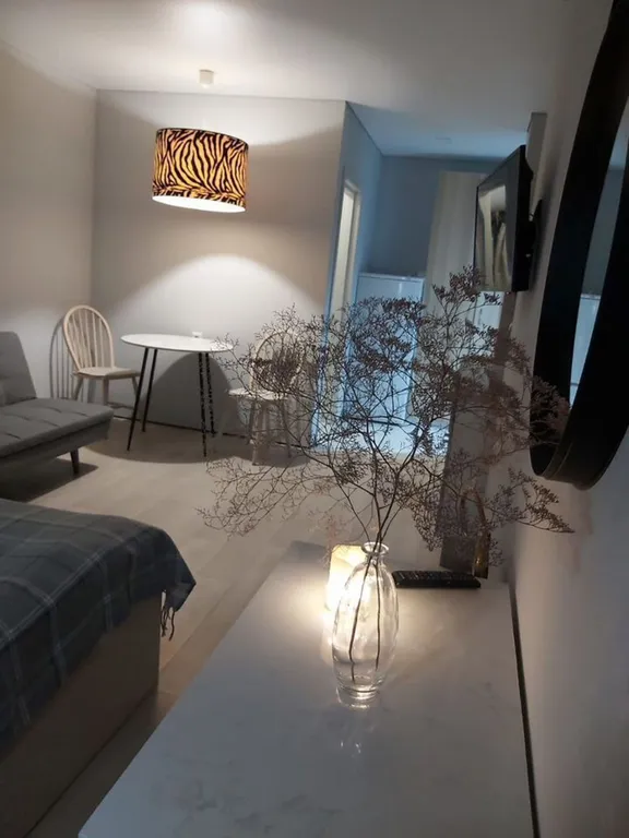 Дизайнерская студия у моря Зебра