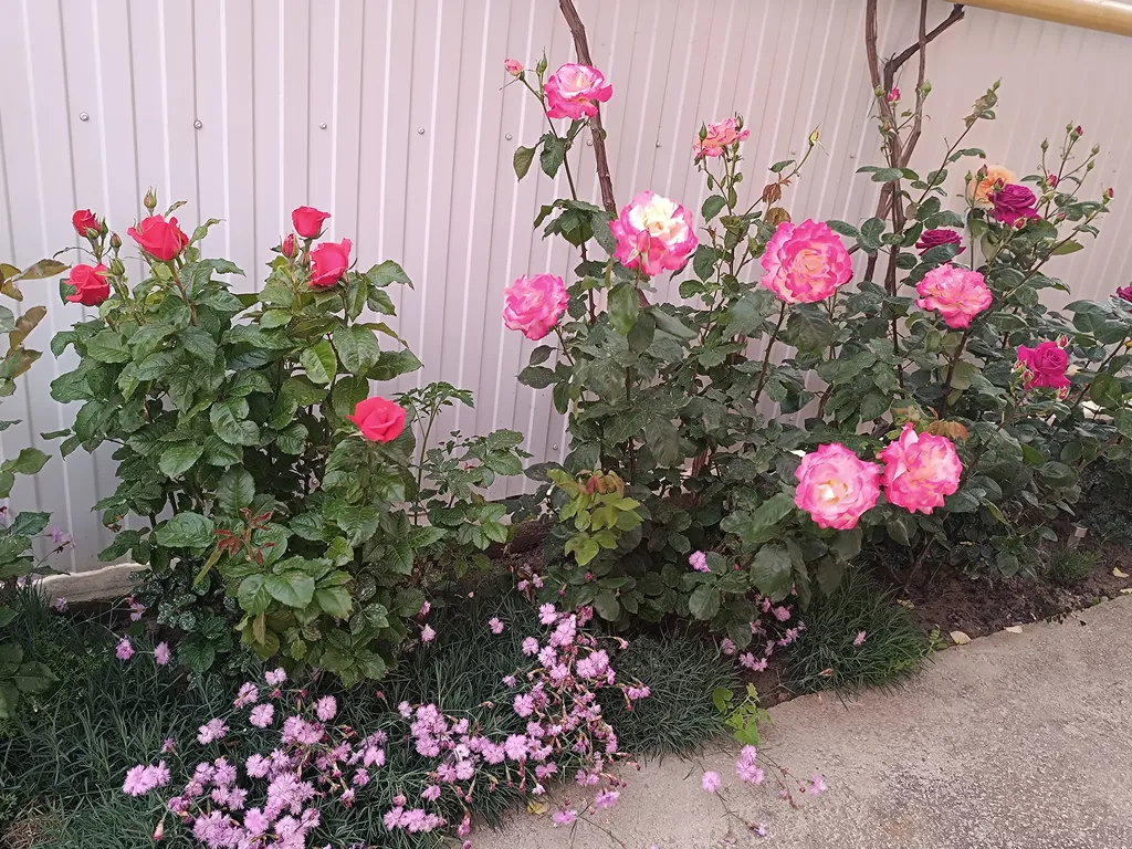 Квартира Комната на 2-3 человека — Анапа