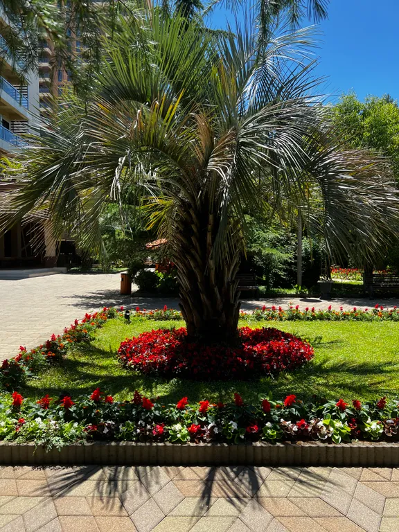 Элитный комплекс Дрим Лэнд Oasis на побережье Грузии