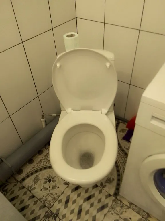 Студия в заставе