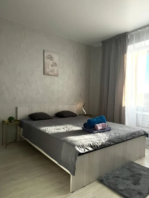 Квартира Студия в Центре города — аренда посуточно в Барнаул