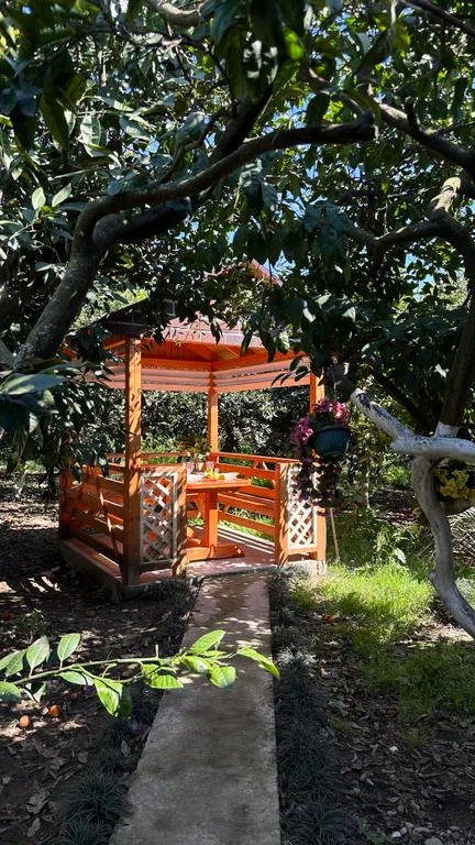 Эконом на 4-х человек