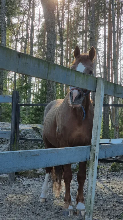 Бунгало у воды