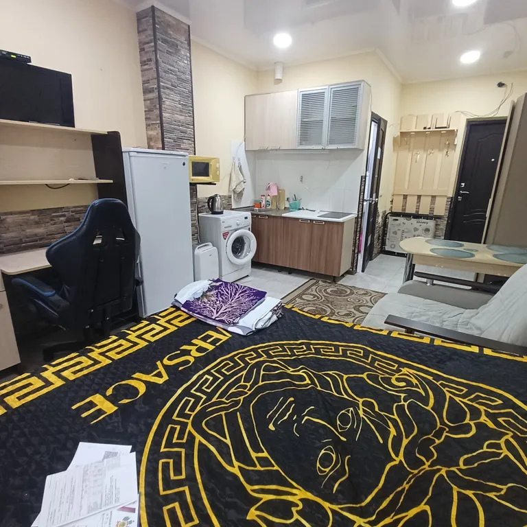 Уютная студия рядом с бальнеологическим центром Мацеста