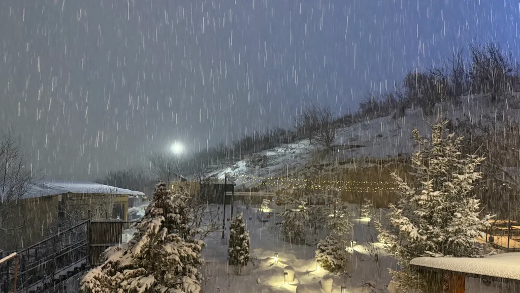 Апартаменты люкс с видом на город