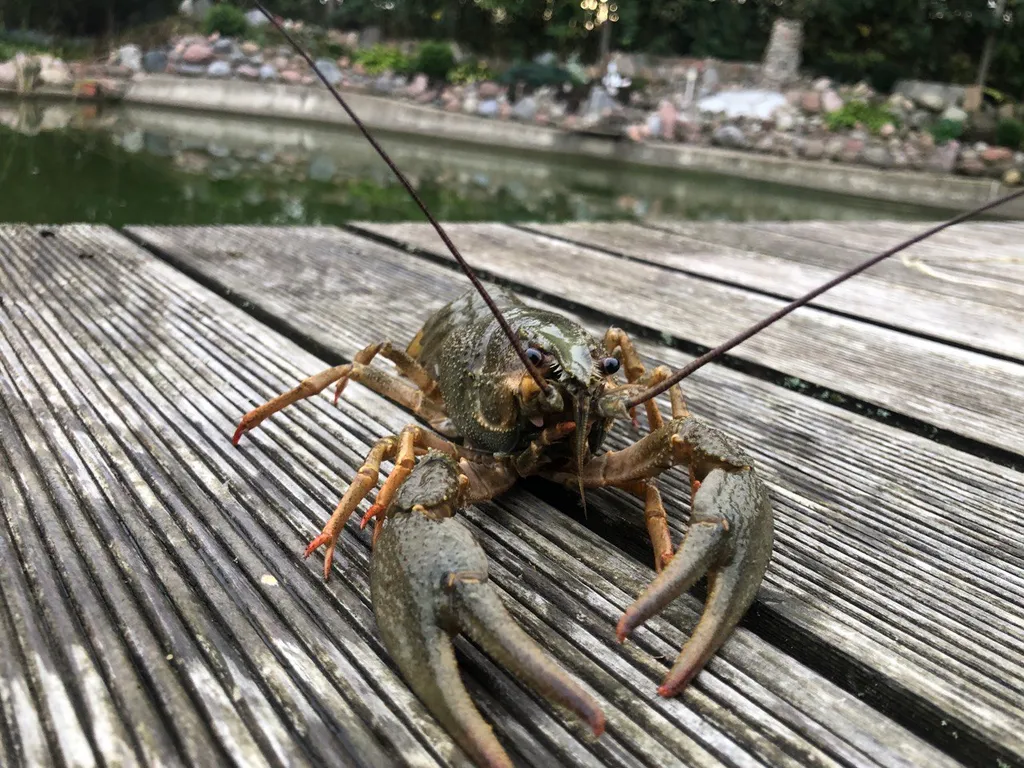 Домик у озера (с баней и сибирским чаном)