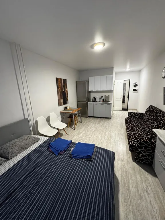 Квартира Вместительная студия в ЖК Государев дом | Уютно, как дома — аренда посуточно в Лопатино