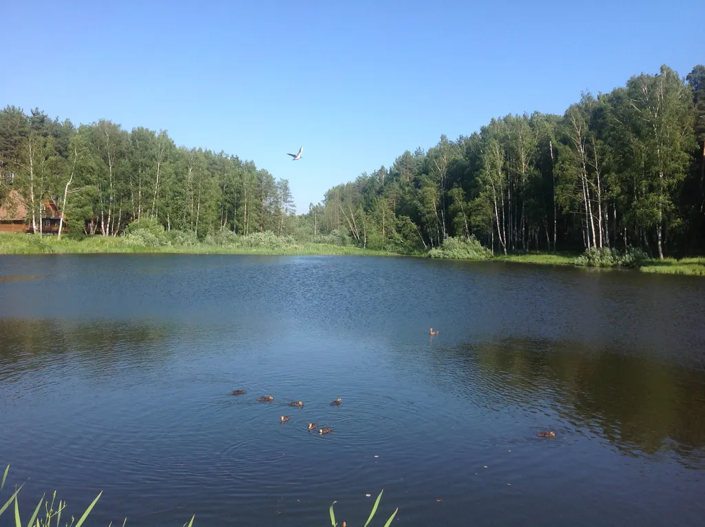 Квартира Красивый дом у парка Берендеевка, парковка, мангал — Кострома