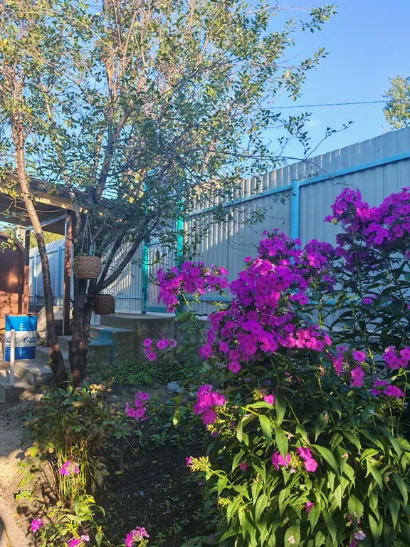 Домик в предгорье горы "50 лет"