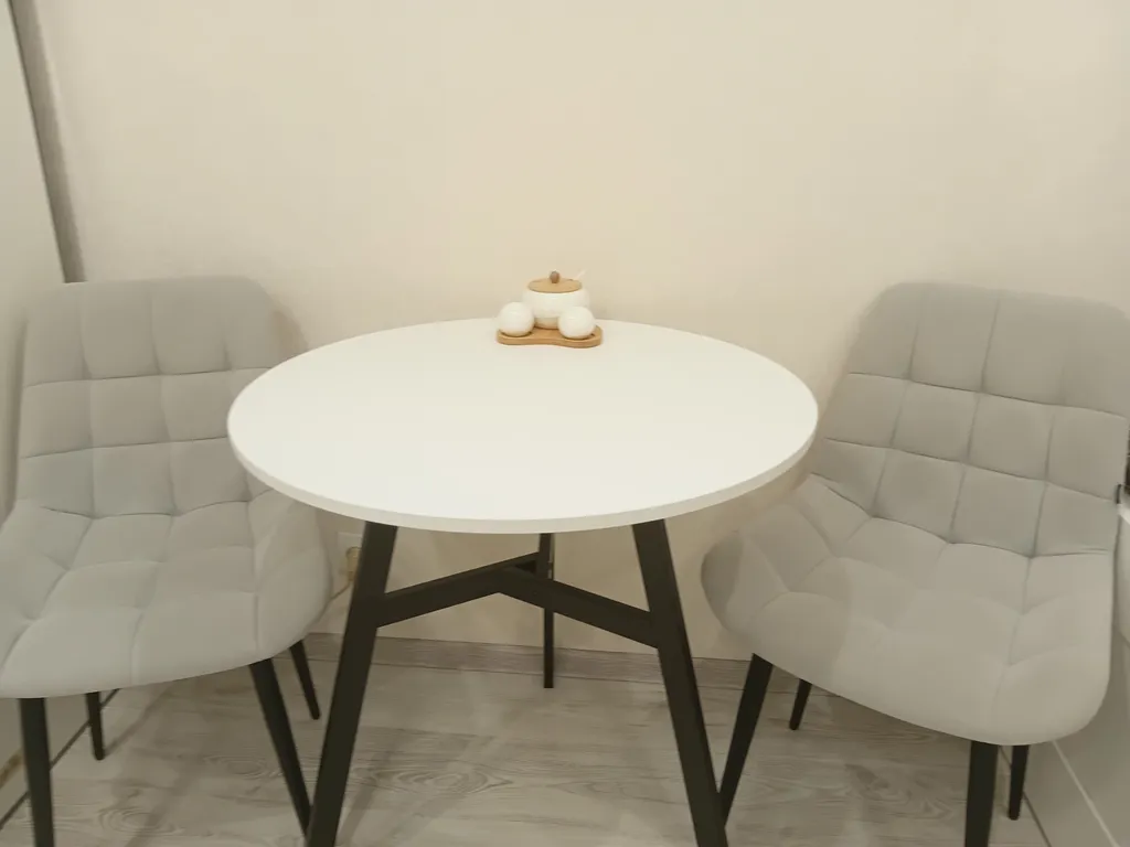 Студия у глобуса с 2 отдельными спальными местами