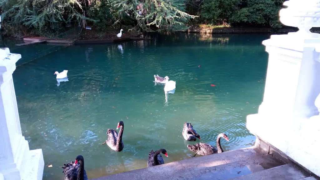 Сакура - 1 комнатная квартира с панорамным видом на море и горы