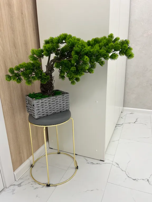 2-комнатная квартира в самом центре Калининграда