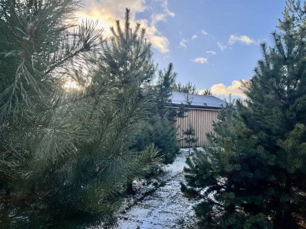 Коттедж для двоих в лесу у пруда