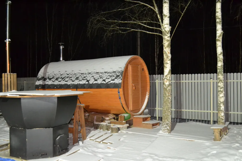 Дом O'Pushka space в березовом лесу