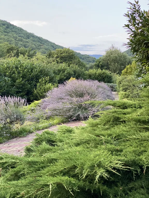 4-комнатный Дом