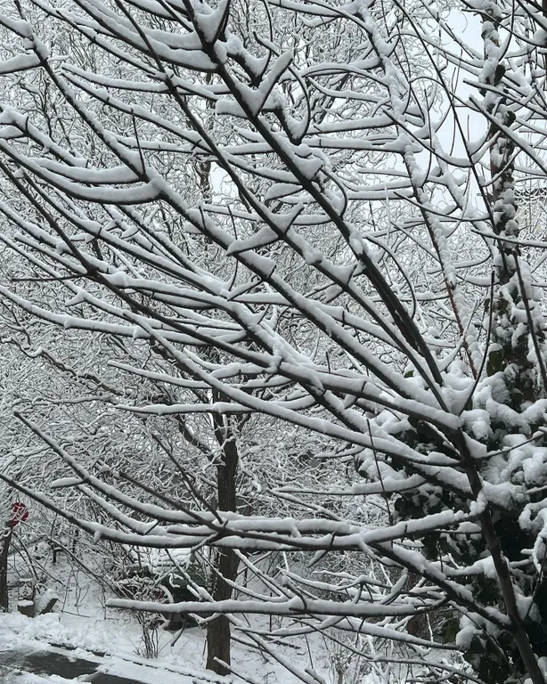 Гостиница с садом и баней