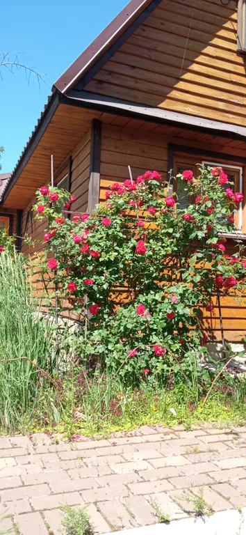 Коттедж Гостевой дом у озера — Казань