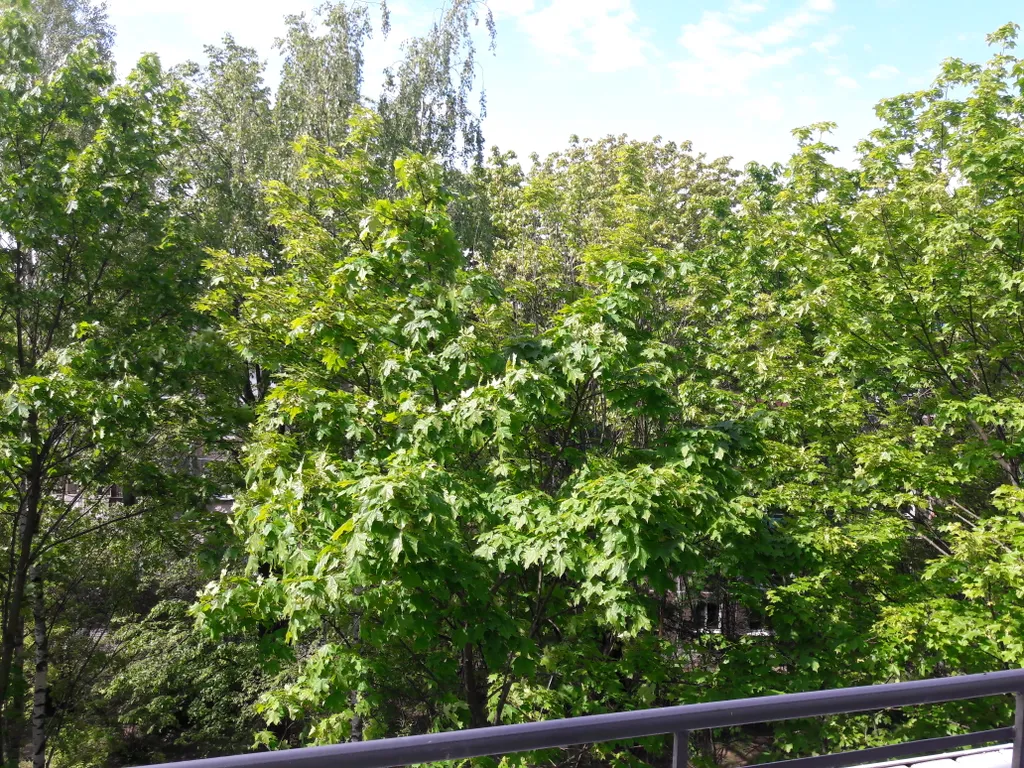 Квартира Уютная 1-комнатная квартира в центре — Минск