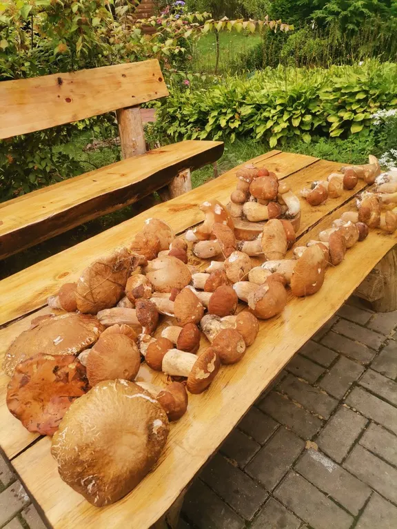 Усадьба Сова