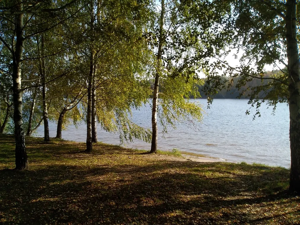 Коттедж Уютный домик на берегу водохранилища — Чиверёво