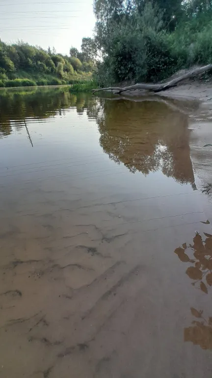 Домик у дуба