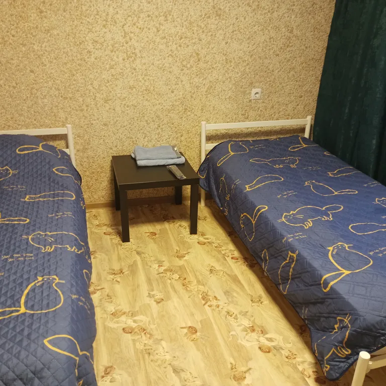 Квартира Уютная квартира в центре — Аша