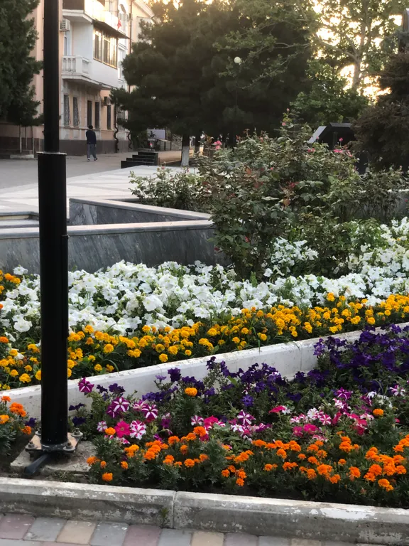 Уютная квартира в самом центре города в 5 минутах от моря