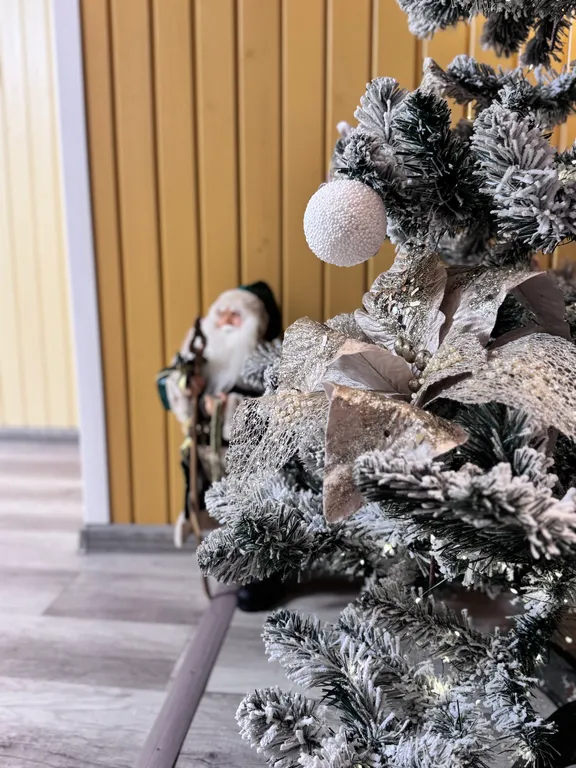 Коттедж Гостевой дом на озере Селигер - Волго ( мини база) — Завирье