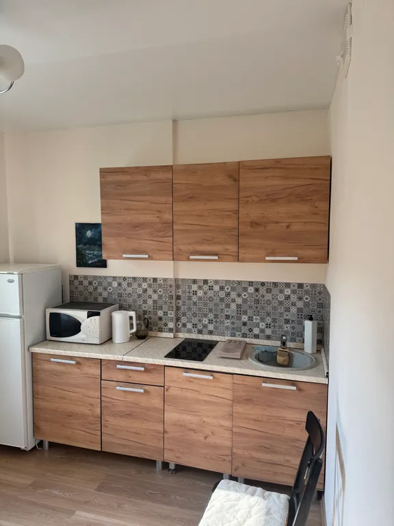 В центре города большая, атмосферная квартира с лужайкой