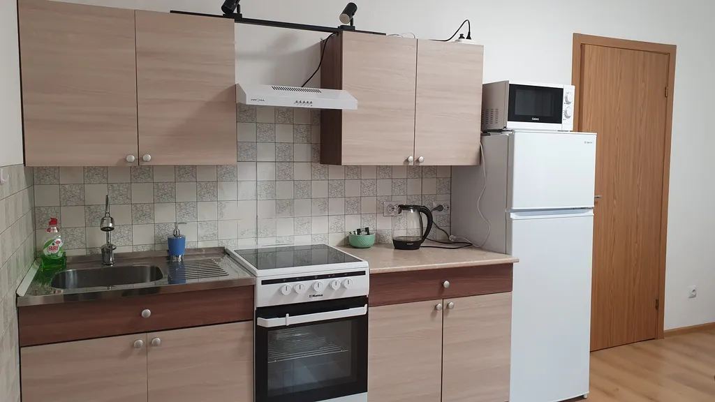 Квартира Уютная квартира напротив НИИ Петрова — Песочный