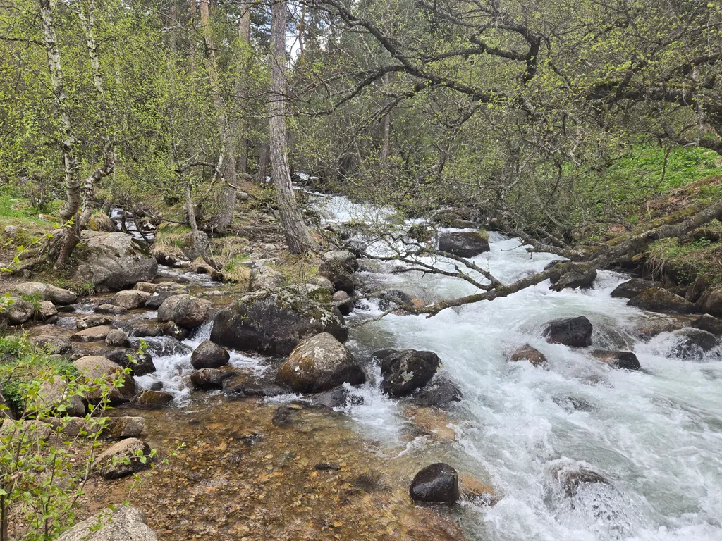 Уютный новый дом в горах