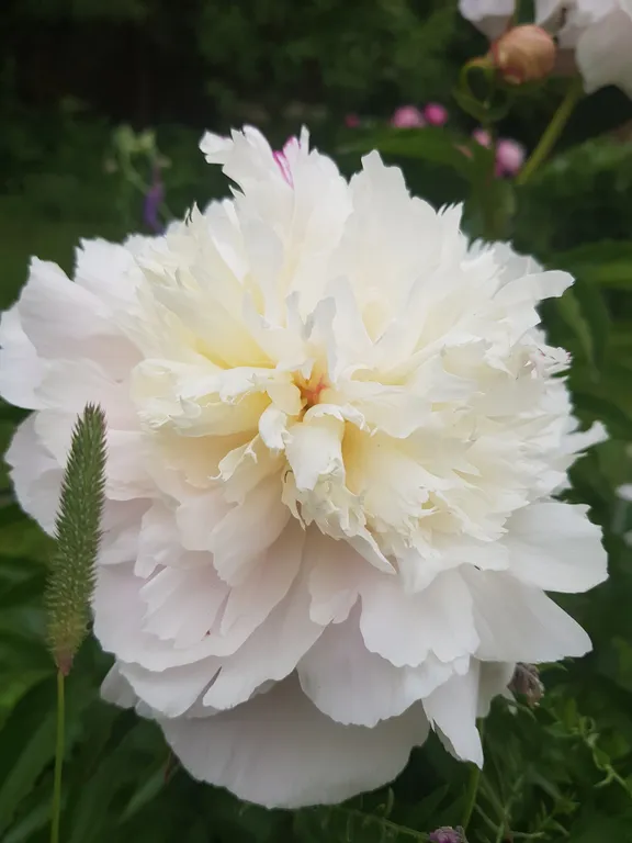 Дом с сауной у озера