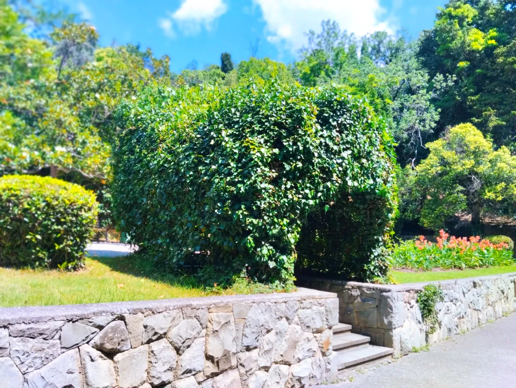 Квартира в живописном, курортном поселке