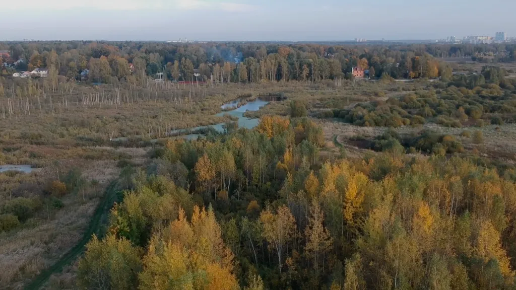 Уютный дом для семейного отдыха