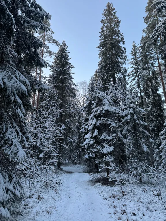 Дом в лесу рядом с озером