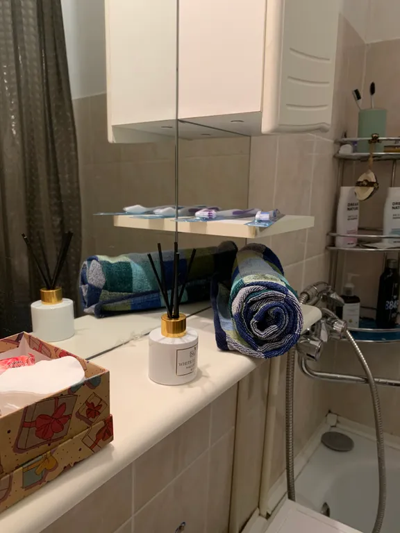 Квартира Квартира Уютная студия в центральном районе города — Красноярск