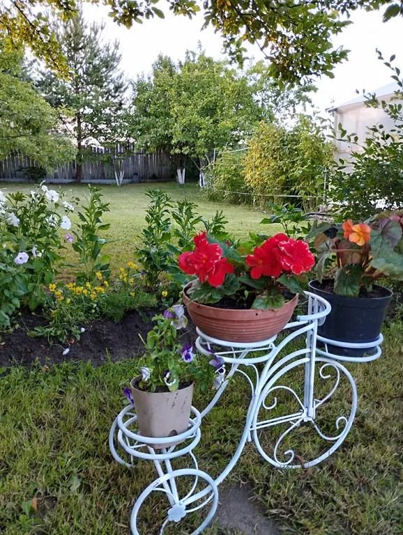 Коттедж Домик с баней у Гатчинского дворца и парка — Гатчина