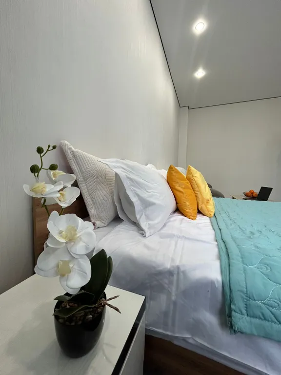 1-комнатная квартира возле Посольства США и Дворца Мира и Согласия