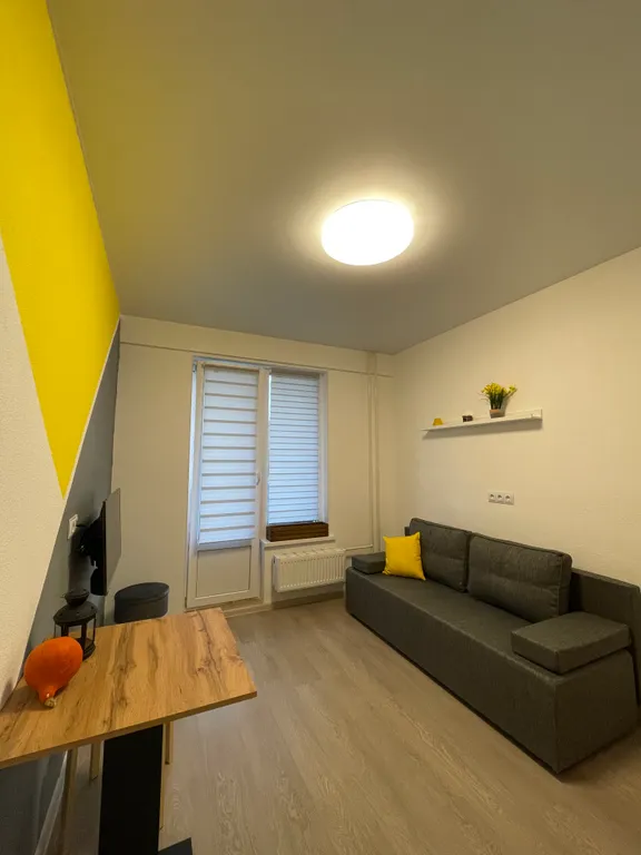 Студия в сосновом бору