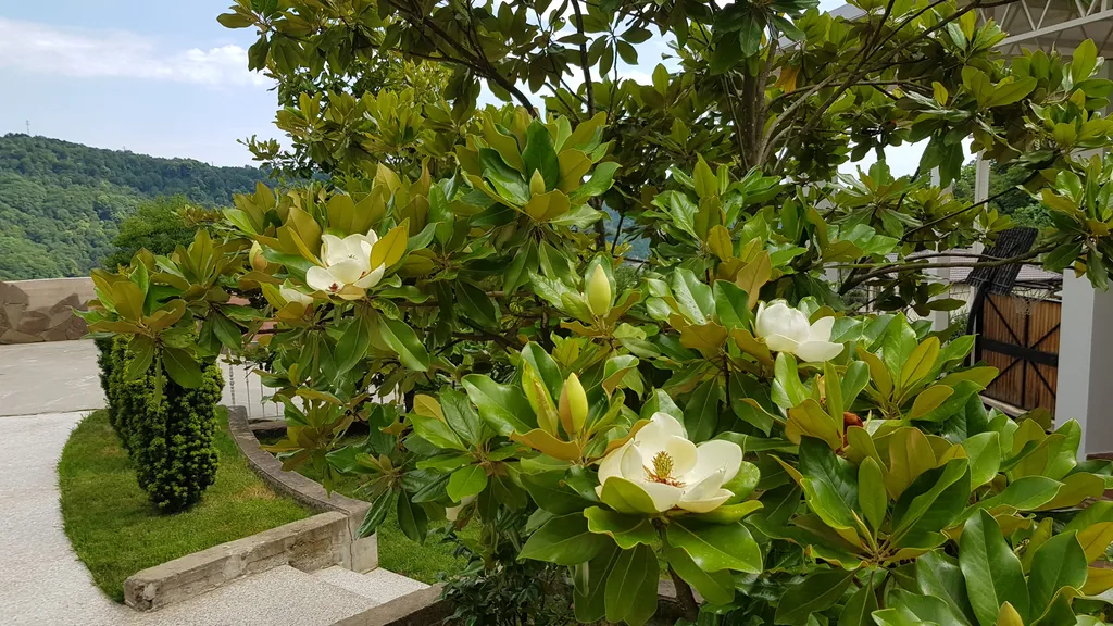 Трёхэтажный таунхаус в живописном месте с большим садом